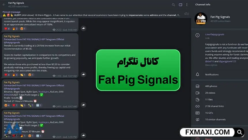 کانال تلگرام Fat Pig Signals, سیگنال رایگان رمزینکس, سیگنال رایگان ارز دیجیتال رمزینکس