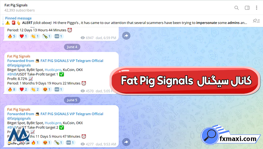 کانال سیگنال Fat Pig Signals