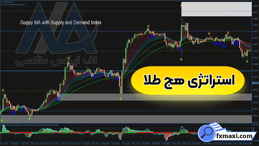 آموزش استراتژی هج طلا 💫دریافت نقاط خرید و فروش فلزات با نقد شوندگی بالا!