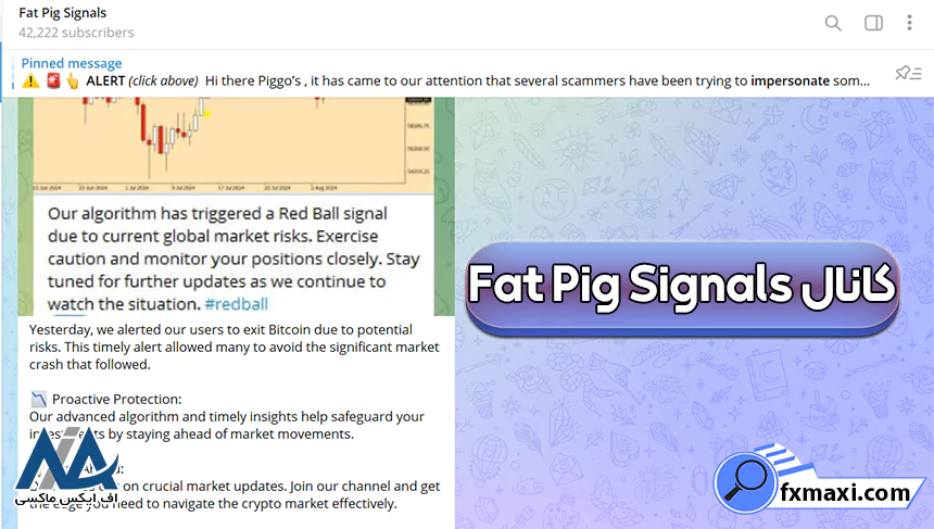 کانال Fat Pig Signals کانال سیگنال دهی ارز دیجیتال بهترین کانال سیگنال کریپتو