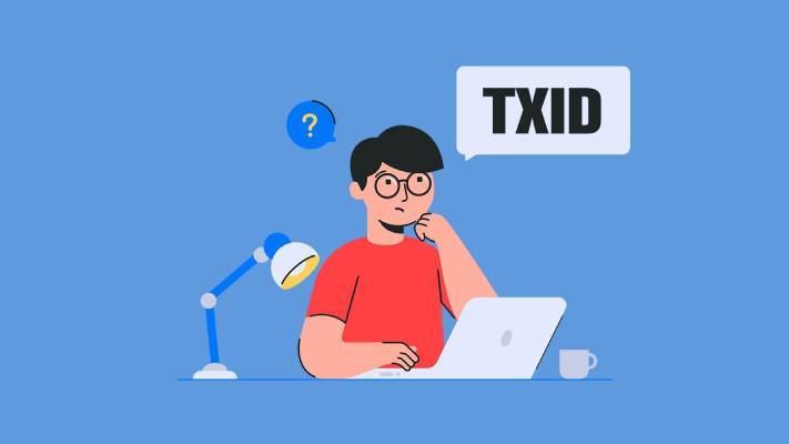 txid در نوبیتکس