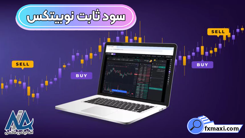 سود ثابت نوبیتکس، سود روزانه نوبیتکس، سود استخر مشارکت نوبیتکس