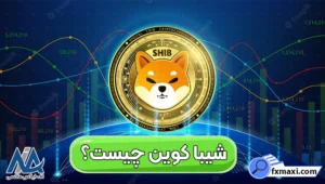 قیمت شیبا کوین (SHIB) ✅بررسی کامل آینده ارز شیبا در 2025