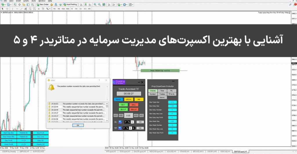 انواع اکسپرت مدیریت سرمایه (Capital Manager) در متاتریدر  4 و 5 💹دانلود رایگان