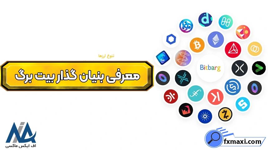 مدیرعامل صرافی بیت برگ، بنیان‌گذار صرافی بیت برگ، مالک صرافی بیت برگ